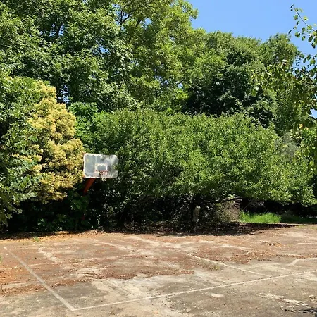 Comfortable With Huge Yard, Near The Sea. Olympiada